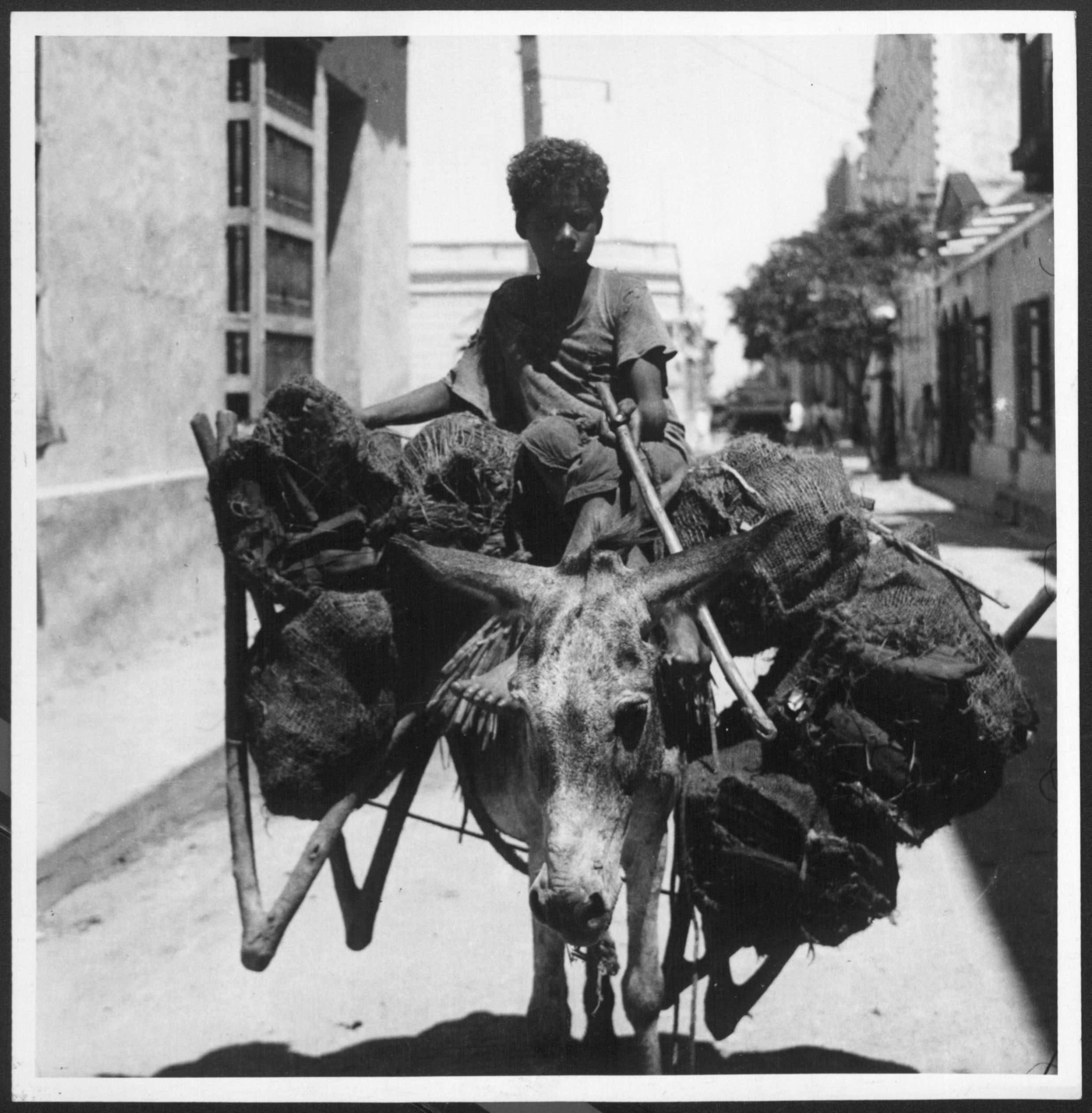 Archivos para la Reparación Histórica